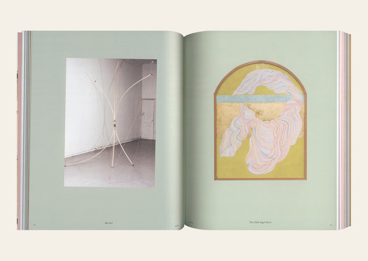 Rosemary Mayer: Ways of Attaching