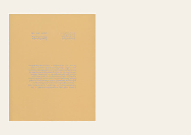 Rosemary Mayer: Ways of Attaching