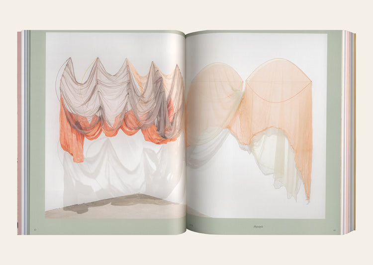 Rosemary Mayer: Ways of Attaching