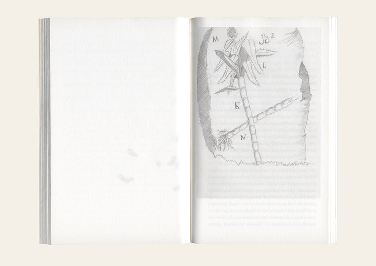 Fields - Julien Bruneau