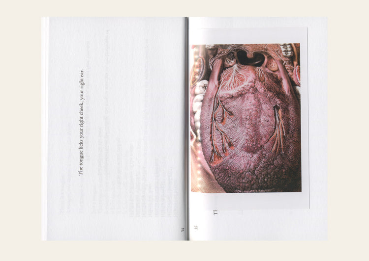 Lesson on Gravity - Anne Juren