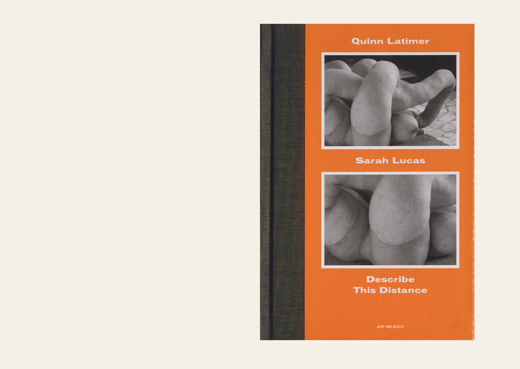 Sarah Lucas: Describe This Distance - Quinn Latimer