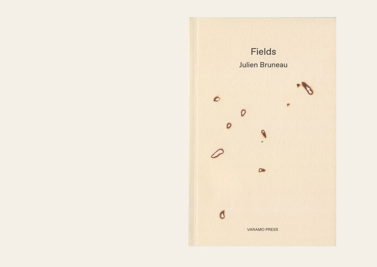 1. Fields - Julien Bruneau