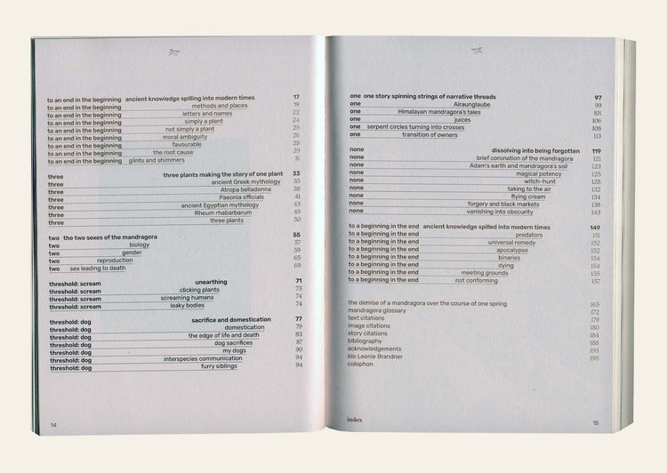 Three Becomes Two Becomes One Becomes None - Leonie Brandner