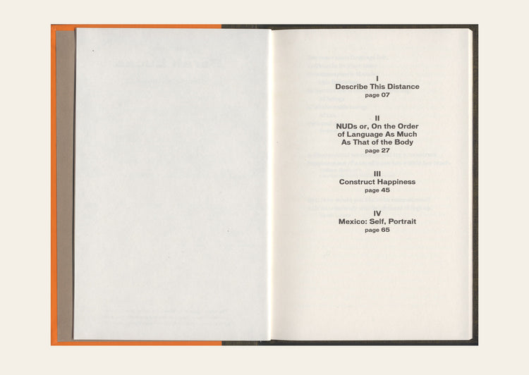 Sarah Lucas: Describe This Distance - Quinn Latimer Melbourne