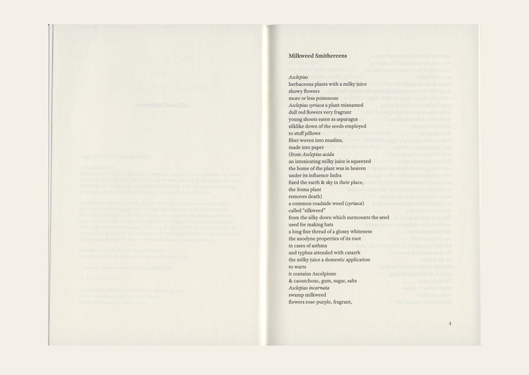 Milkweed Smithereens - Bernadette Mayer
