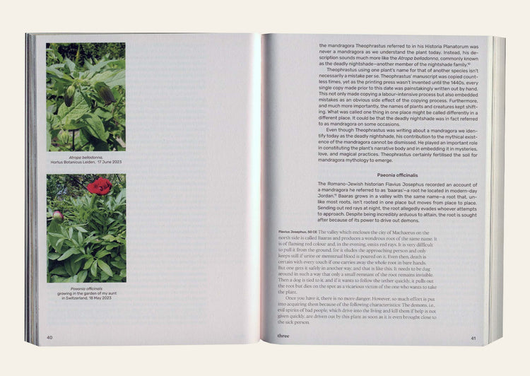 Three Becomes Two Becomes One Becomes None - Leonie Brandner