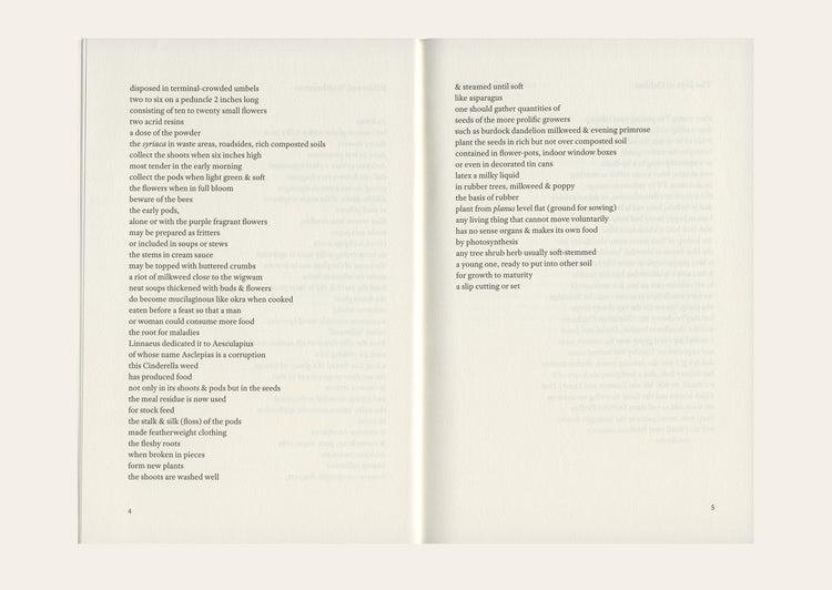 Milkweed Smithereens - Bernadette Mayer