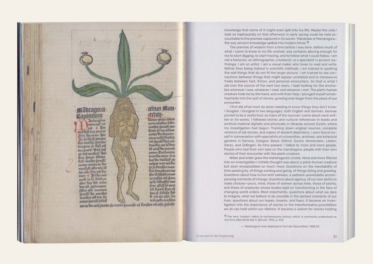 Three Becomes Two Becomes One Becomes None - Leonie Brandner