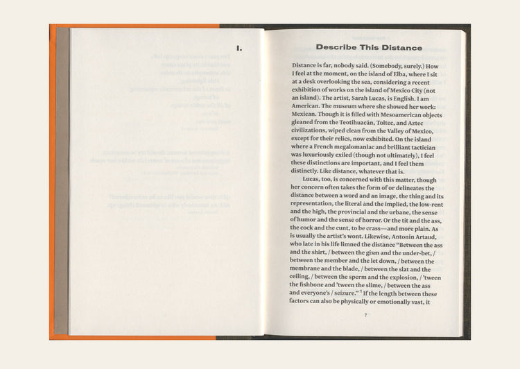 Sarah Lucas: Describe This Distance - Quinn Latimer