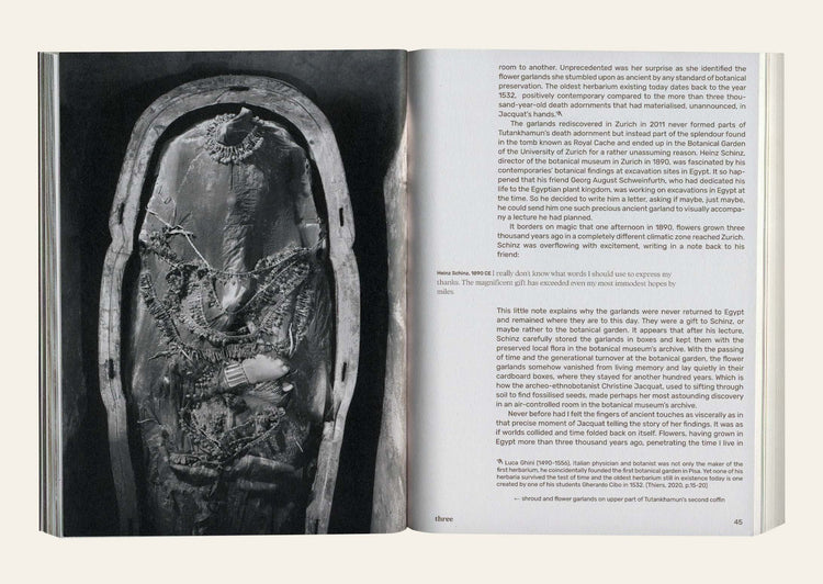 Three Becomes Two Becomes One Becomes None - Leonie Brandner