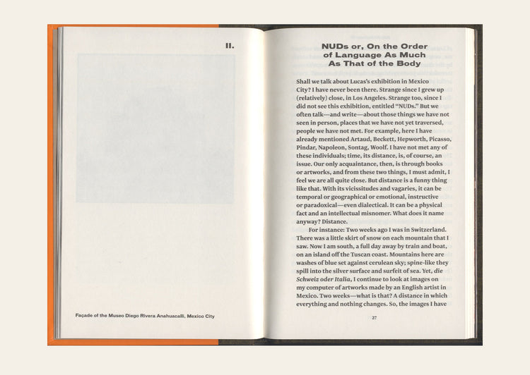 Sarah Lucas: Describe This Distance - Quinn Latimer