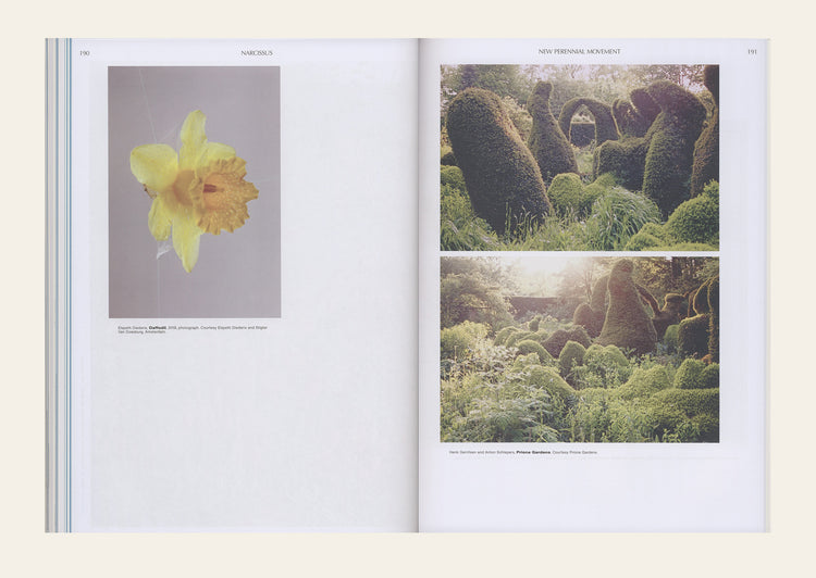 On the Necessity of Gardening: An ABC of Art, Botany and Cultivation