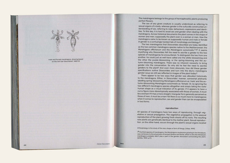 Three Becomes Two Becomes One Becomes None - Leonie Brandner