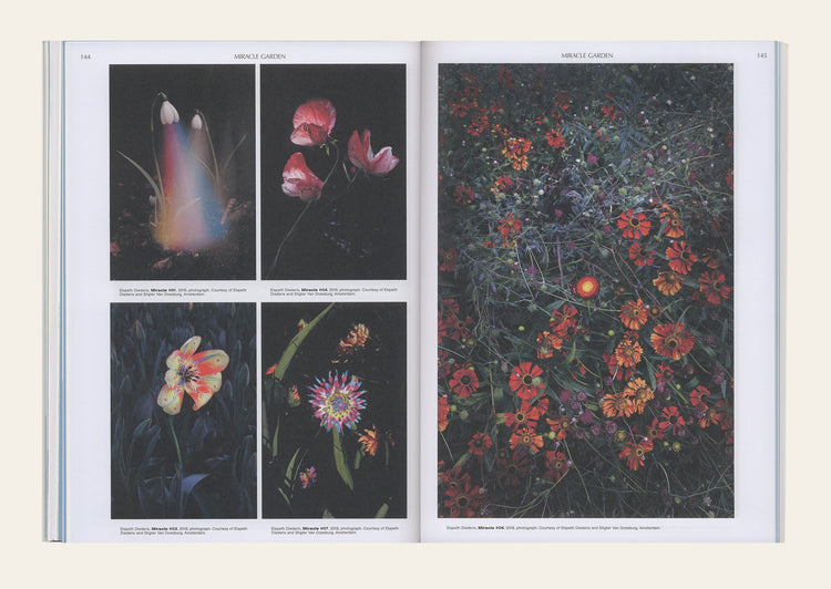 On the Necessity of Gardening: An ABC of Art, Botany and Cultivation