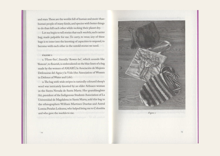 The Carrier Bag Theory of Fiction - Ursula K. Le Guin