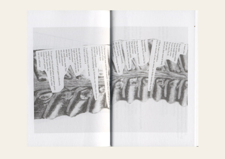 Lesson on Gravity - Anne Juren