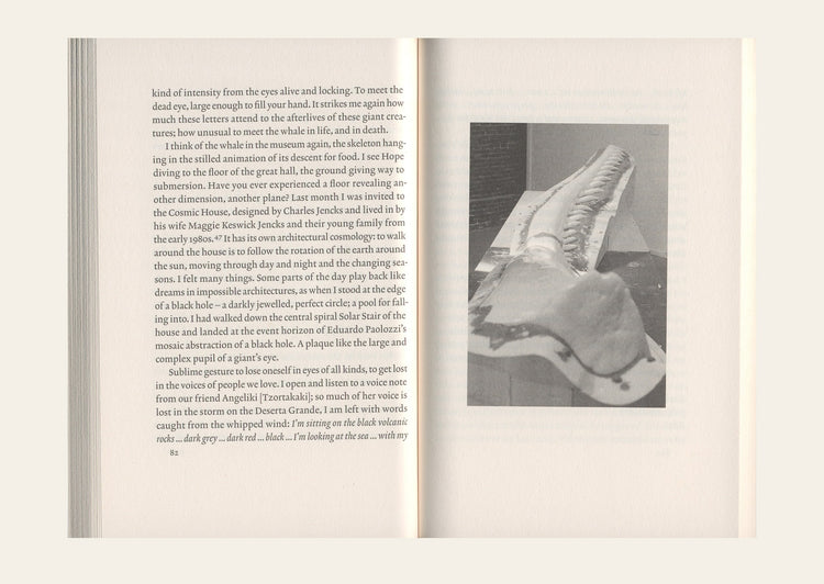 Silent Whale Letters - Ella Finer and Vibeke Mascini