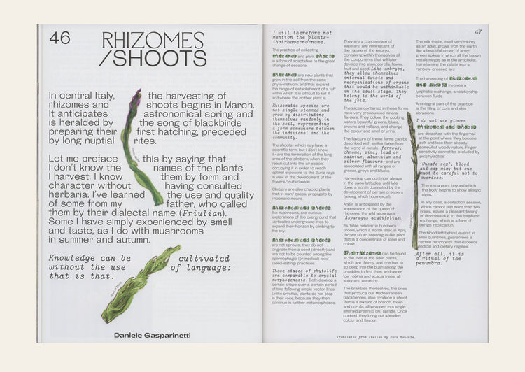 ROT ISSUE ONE 2023: IMMUNITY - Sara Manente (ed.)