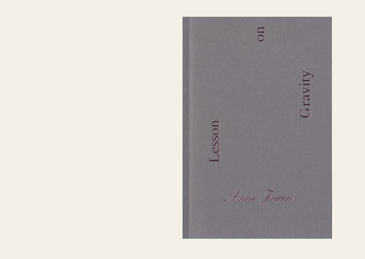 Lesson on Gravity - Anne Juren