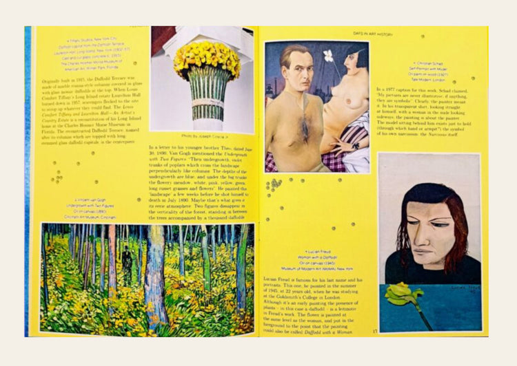 Pleasant Place 7: Daffodils (Narcissus)