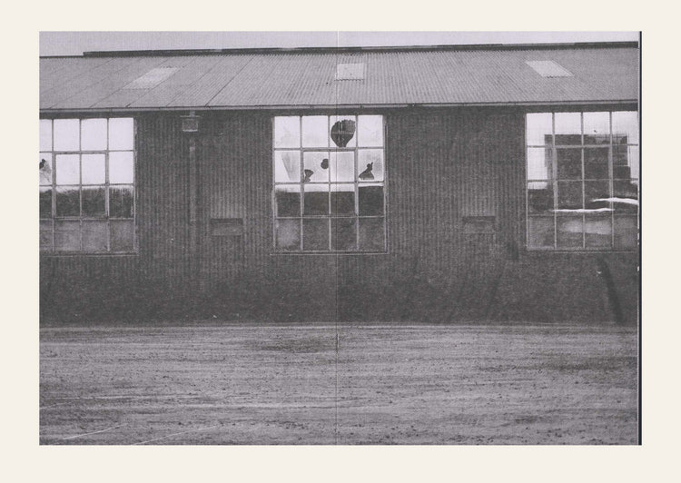 Pristine Hallways - Colin Maier + David Sedgwick