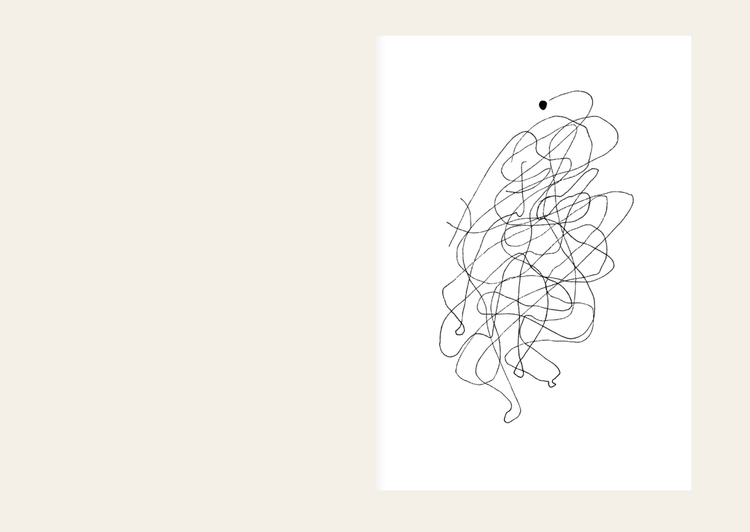 She Threw the Rope & Pulled the Lake - Alina Asan & Anita Sezgener