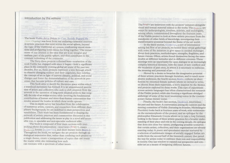 Visible: Art as Policies for Care. Socially Engaged Art (2010–Ongoing)