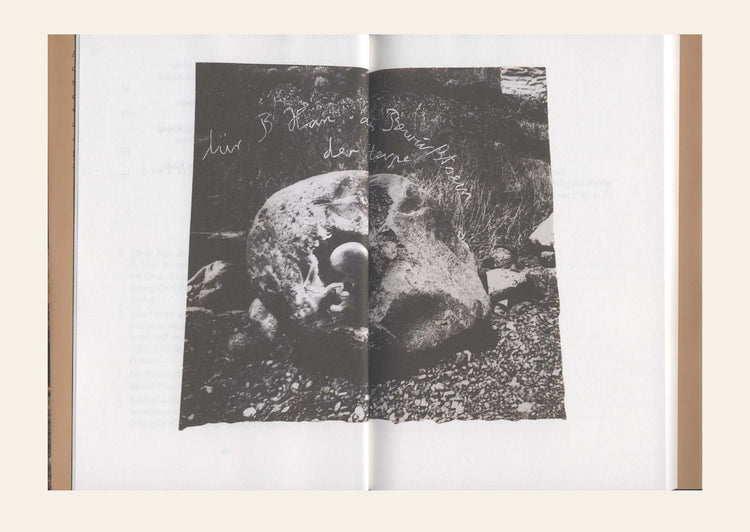 The Spirit of Hope - Byung-Chul Han