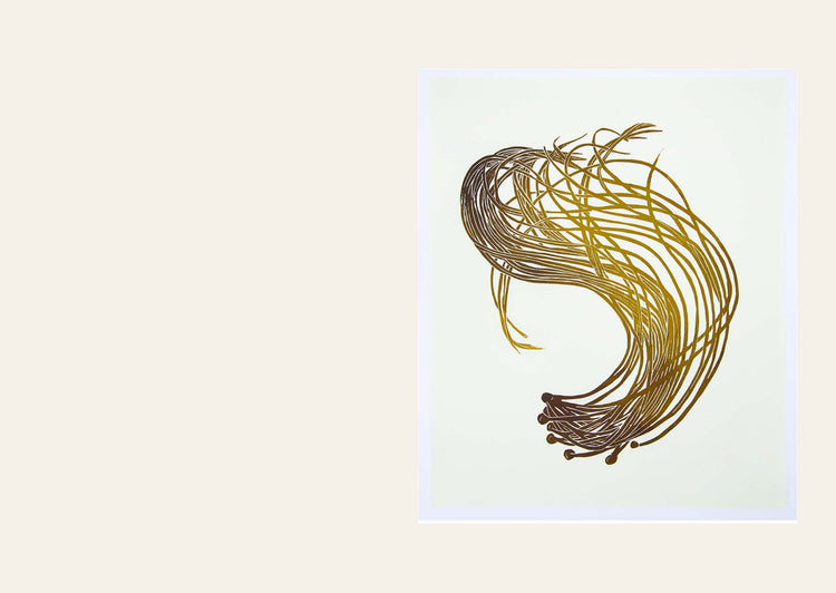 Gift Card - Wild Sea - Sea Spaghetti (Himanthalia elongata)