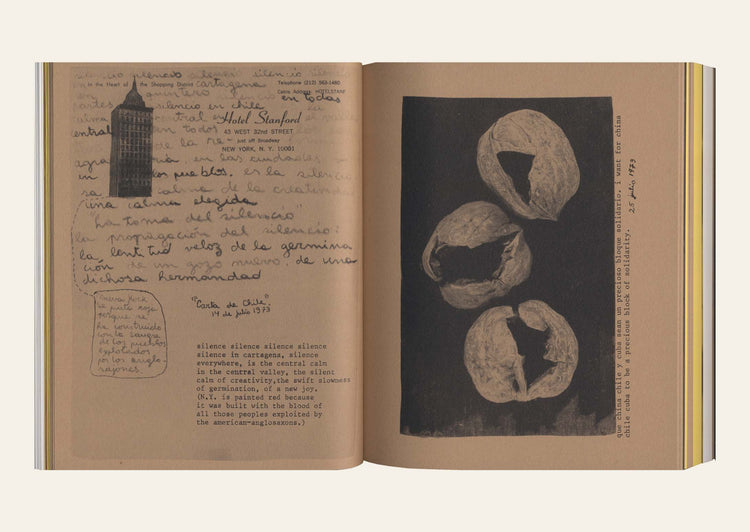 Saborami - Cecilia Vicuña: Expanded Facsimile Edition