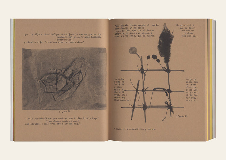Saborami - Cecilia Vicuña: Expanded Facsimile Edition