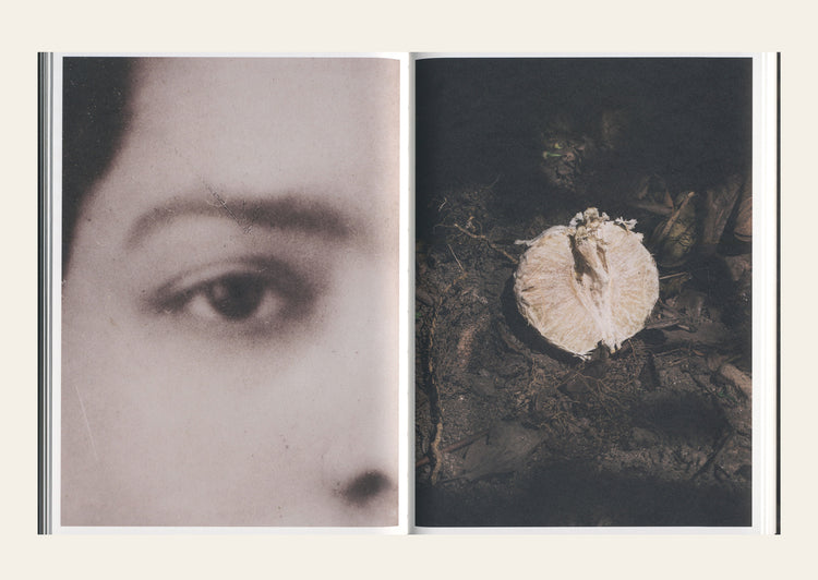 Fear Guards the Lemon Grove - Klaus Pichler