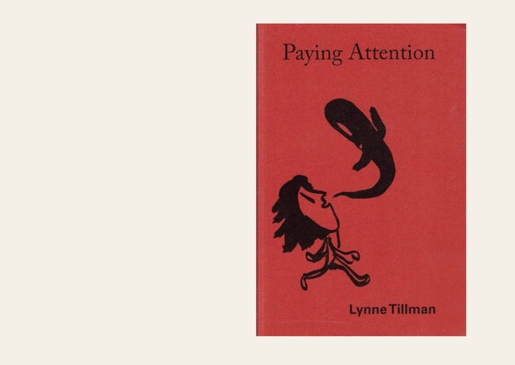 Paying Attention: Essays on Art and Culture - Lynne Tillman