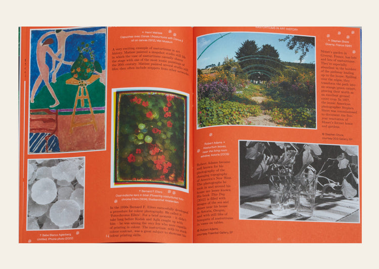Pleasant Place 2: Nasturtiums