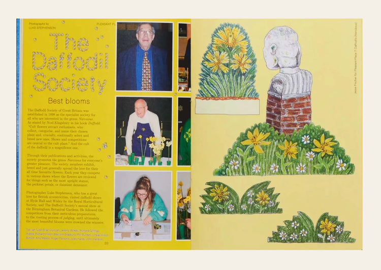 Pleasant Place 7: Daffodils (Narcissus)