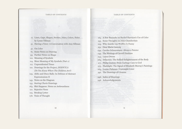 Faux Pas. Selected Writings and Drawings (Expanded Edition) - Amy Sillman