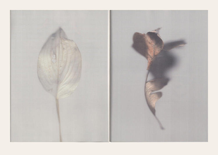 Emergence Magazine Volume 3