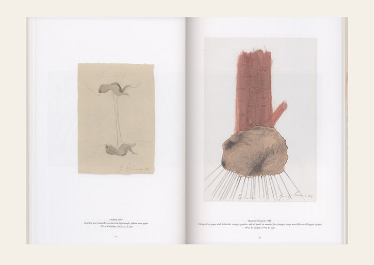 River of Forms : Giuseppe Penone's Drawings