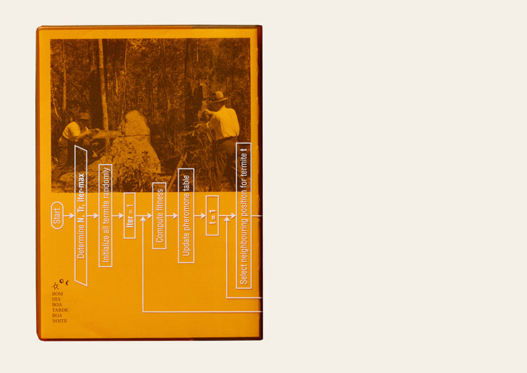 Termite Economies - Nicholas Mangan