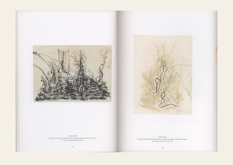 River of Forms : Giuseppe Penone's Drawings