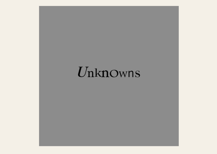 The Dead C - Unknowns LP