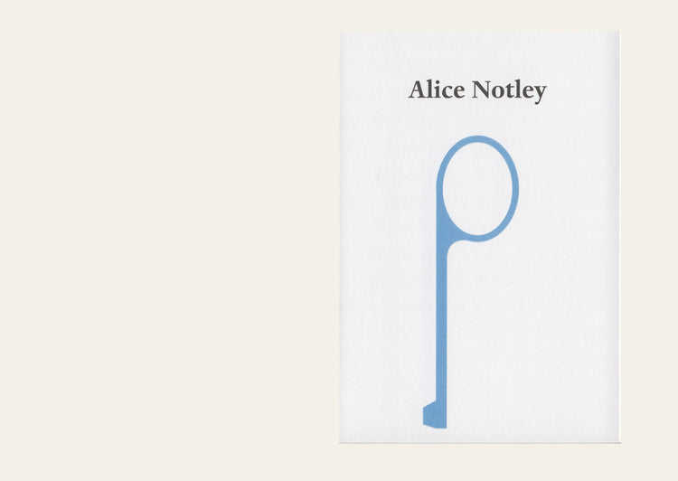 At the Foot At the Belt Of the Raincoat - Alice Notley