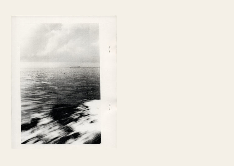 Oak lane - Simryn Gill