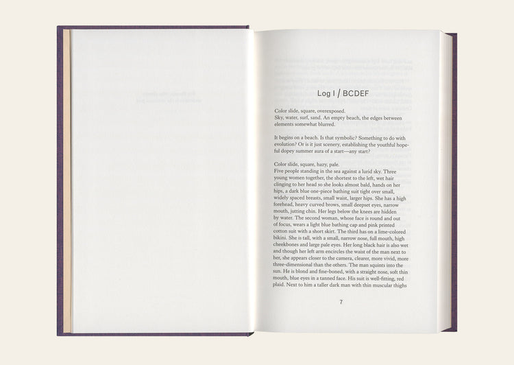 I See / You Mean - Lucy Lippard