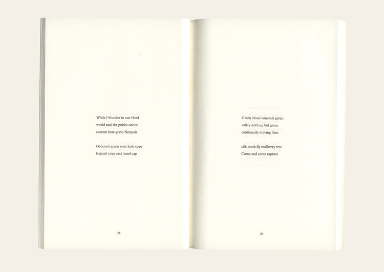 Souls Of The Labadie Tract - Susan Howe