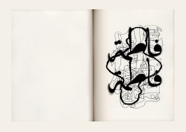 Pity the nation - Khaled Sabsabi