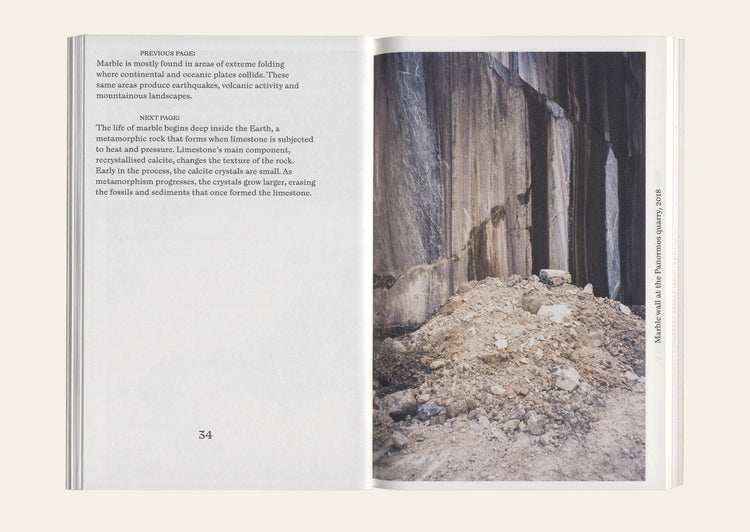 Marble in Metamorphosis - Rachel Cusk