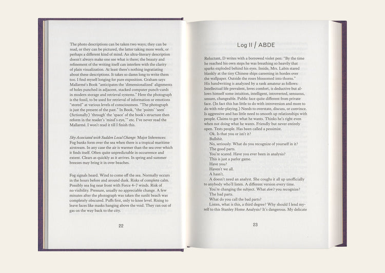 I See / You Mean - Lucy Lippard
