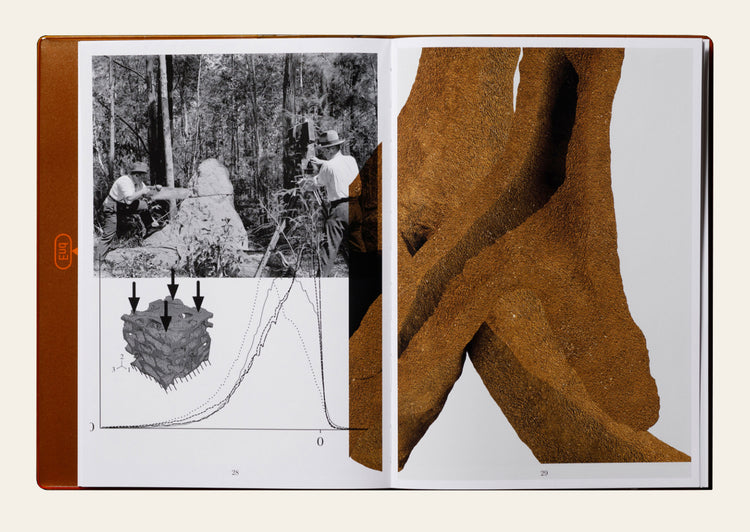 Termite Economies - Nicholas Mangan